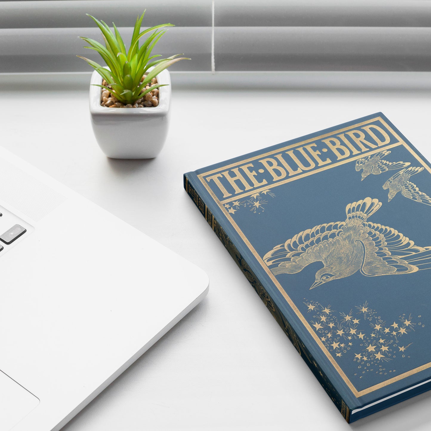 Blue Bird Hardcover Notebook